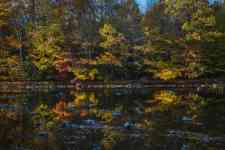 Philadelphia: forest, river, autumn